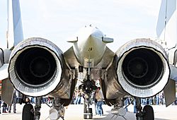 Archivo:Sukhoi Su-35 on the MAKS-2009 (02)