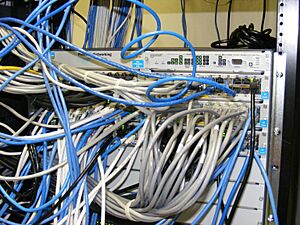 Archivo:Switch-and-nest