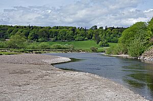 The River Earn at Dupplin - geograph.org.uk - 2391850.jpg