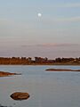 Torreorgaz pantano