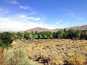 Archivo:Truckee Meadows Nevada
