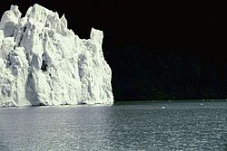 Archivo:Upsala glacier