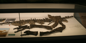 Archivo:Valdosaurus