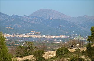 Vista de Lloseta i el Puig Tomir.JPG