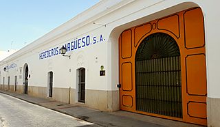 ARGÜESO Calle Mar.jpg