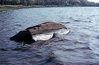 Archivo:A Pedra de Dighton no Rio Taunton, ate ser removida para o Museu en 1963, pesa 40 toneladas!
