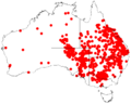 Acacia salicinaDistMap788