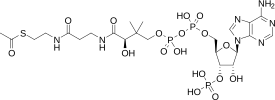 Archivo:Acetyl-CoA-2D