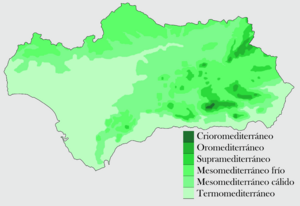 Archivo:Andalucia pisos climáticos