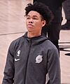 AnferneeSimons (cropped)