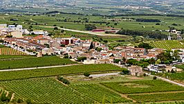 Avinyó Nou (Avinyonet del Penedès).jpg