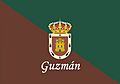 Bandera Guzmán.jpg