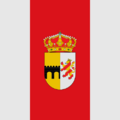 Bandera de San Muñoz