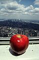 Bigapple