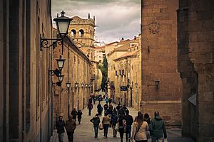 Archivo:Calle de la Compañía, en Salamanca (34133562490)