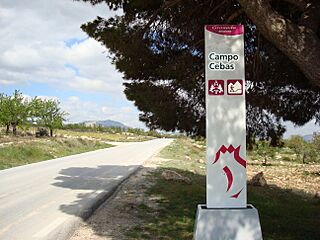 Campo Cebas.jpg