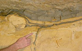 Cretaceous Paleogene clay at Geulhemmergroeve