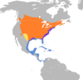 Dumetella carolinensis map