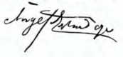 Firma de Angel Estrada hijo.png