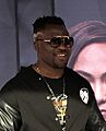 Francis Ngannou photo