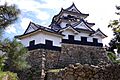Hikone castle18s3200