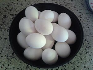 Archivo:Huevos de gallina