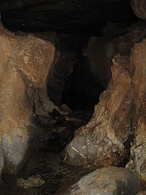 Archivo:Interior cueva del Cobre2