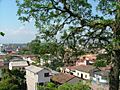 Juticalpa-art 127 (1)