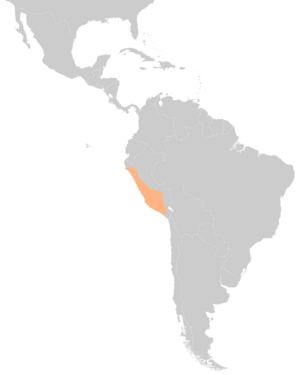 Archivo:Map of Wari in Latin America