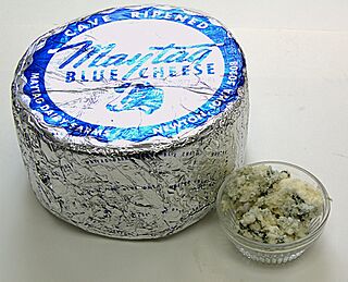 MaytagBlueCheesePackageAndRamekin.jpg