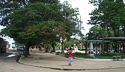 MelenaParque.jpg