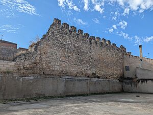 Archivo:Muralla de Roa