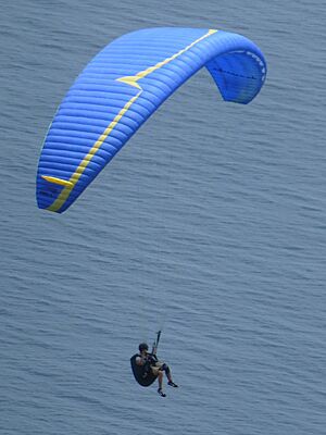 Archivo:Paragliding 1350361