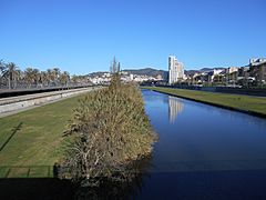 Parc Fluvial del Besòs (2)