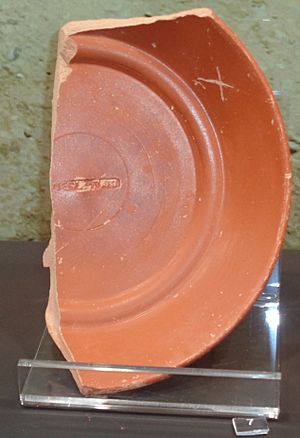 Archivo:Paterna. Museu Municipal de Ceràmica. Plat de terra sigillata