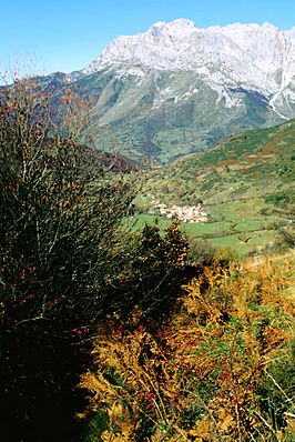 Picos de Europa (León) 1996 01.jpg