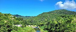 Río de la Plata, Comerío, Puerto Rico.jpg