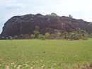 Sabana y cerro al fondo cerca de Betania de Topocho, estado Amazonas, Venezuela.JPG
