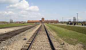 Archivo:Selection ramp, Auschwitz II (Birkenau), Poland1