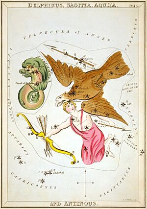 Archivo:Sidney Hall - Urania's Mirror - Delphinus, Sagitta, Aquila, and Antinous