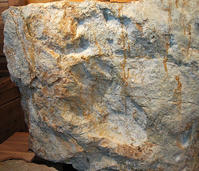 Stegosaurus dinosaur footprints in sandstone