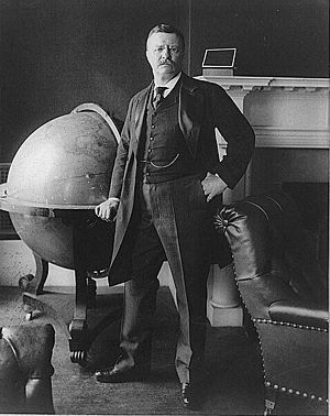 Archivo:Teddy Roosevelt portrait