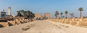 Archivo:Templo de Luxor, Luxor, Egipto, 2022-04-01, DD 44
