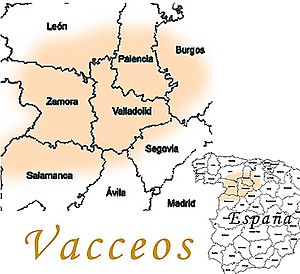 Vaceos224.jpg