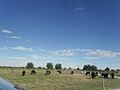 Valle d juarez