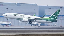 YI-ASF B738 Iraqi Airways VKO UUWW (32785157244).jpg