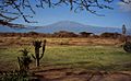 1993 141-26A Amboseli Mount Kilimanjaro