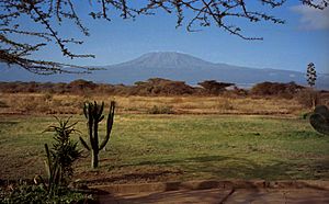 Archivo:1993 141-26A Amboseli Mount Kilimanjaro