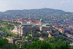 Archivo:20190502 View of Buda Castle from Gellért Hill 1636 2135 DxO