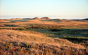 Archivo:Agfo hills and prairie